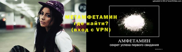 сатива Новокубанск