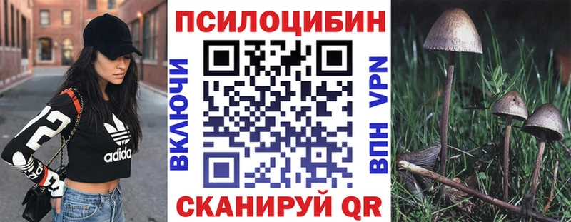 дарнет шоп  Новосиль  Псилоцибиновые грибы Cubensis 